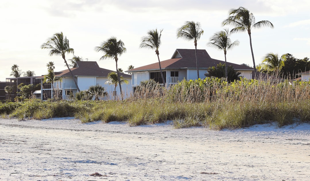 tamarindo-house-4ff50a04 - 3